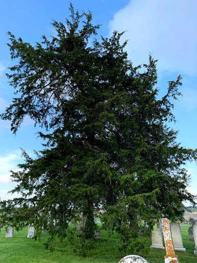 Mosque «Medina Community Center», reviews and photos, 3200 Mill St, Hamel, MN 55340, USA