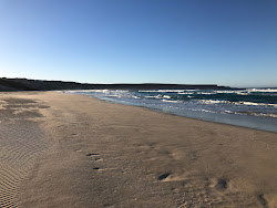Foster Beach'in fotoğrafı doğal alan içinde bulunmaktadır