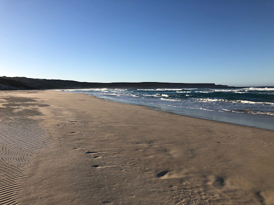 Foster Beach