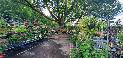 Pet Supply Store «Pickering Valley Feed & Farm Store», reviews and photos, 305 Gordon Dr, Exton, PA 19341, USA