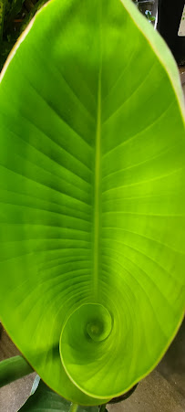 Lowe's Garden Center - Photo 8 - Car repair in Tulsa, OK, Tulsa