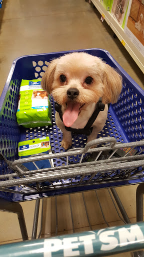 Pet Supply Store «PetSmart», reviews and photos, 601 Centerview Blvd, Kissimmee, FL 34741, USA
