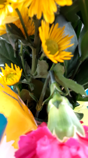 Grocery Store «Food Lion», reviews and photos, 840 5th St, Denton, MD 21629, USA