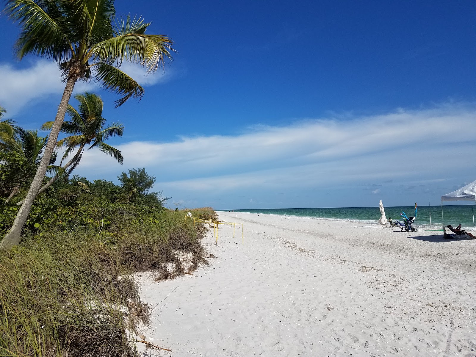 Sanibel beach'in fotoğrafı çok temiz temizlik seviyesi ile