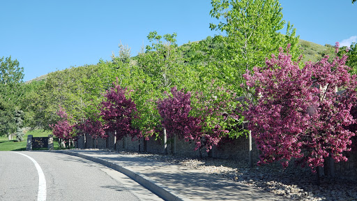 Public Golf Course «Eaglewood Golf Course», reviews and photos, 1110 E Eaglewood Dr, North Salt Lake, UT 84054, USA