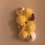 Photo n° 3 de l'avis de Marc.i fait le 04/03/2017 à 08:30 pour Le Châteaubriand à Paris