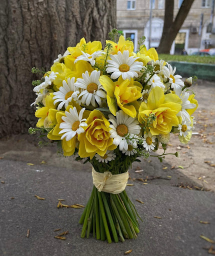 Hair Salon «Aylin Beauty Salon & Spa», reviews and photos, 820 E 41st St, Hialeah, FL 33013, USA