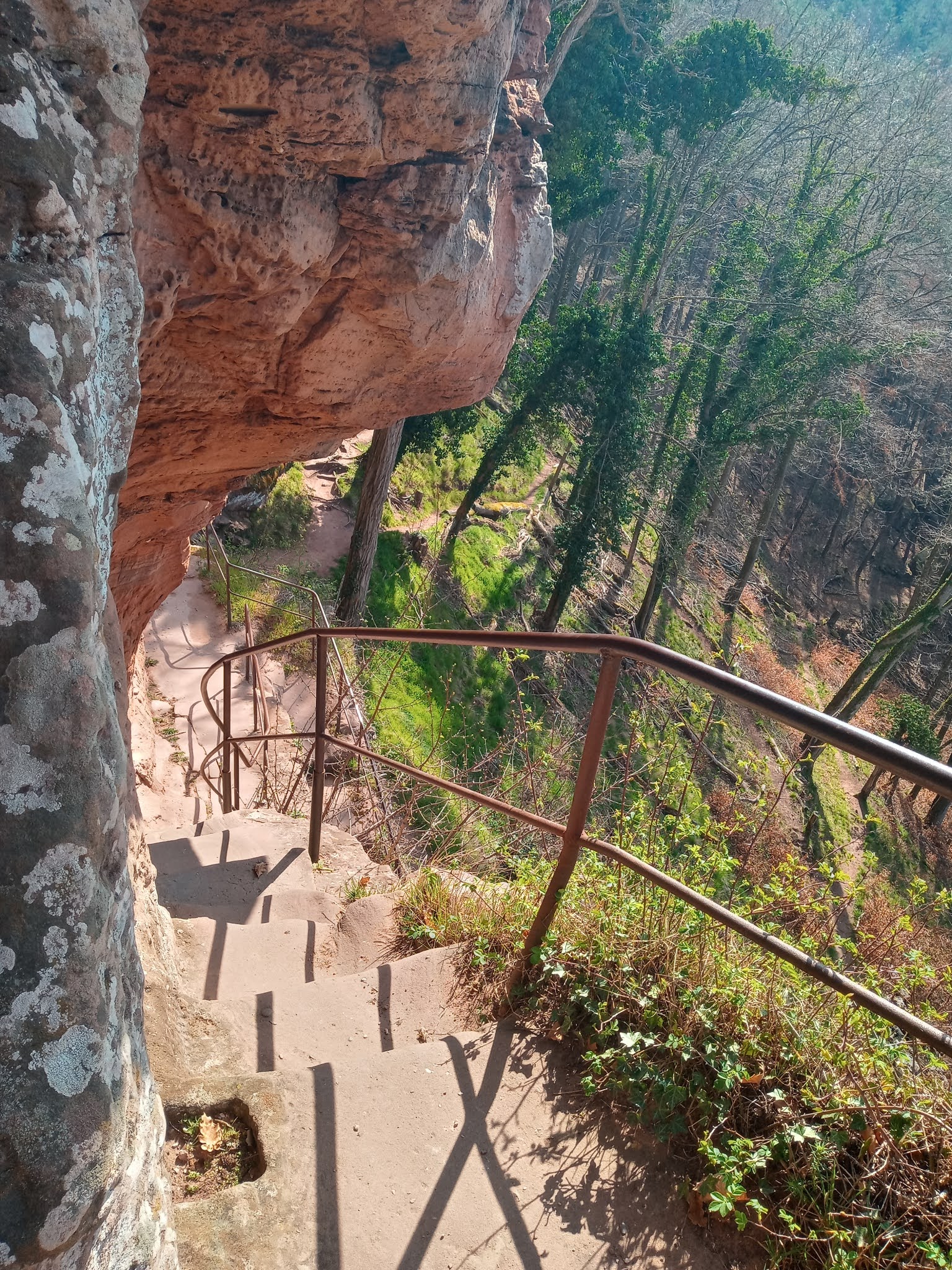 Photo n° 33 de l'avis de Manuela.s fait le 03/04/2021 à 09:38