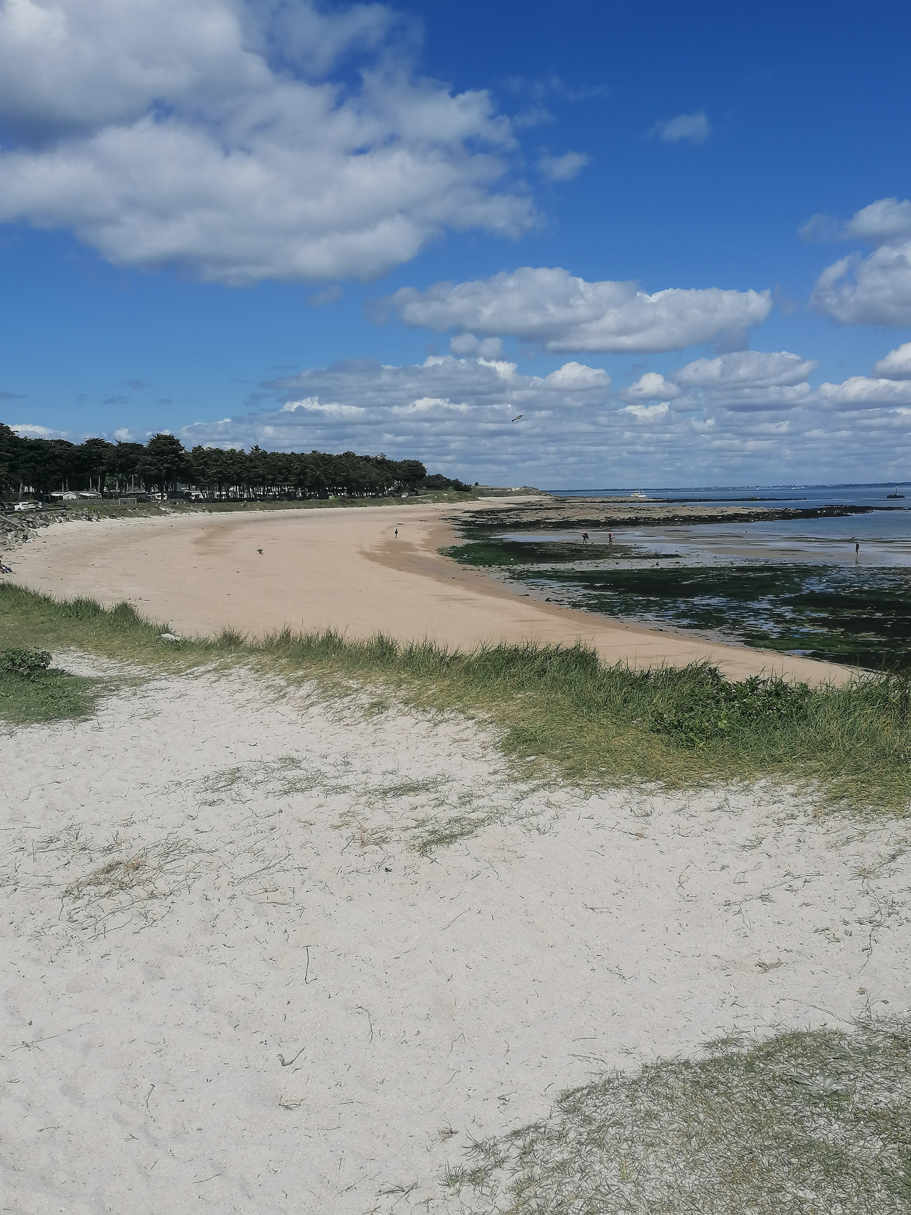 Photo n° 1 de l'avis de al.o fait le 14/05/2022 à 20:27
