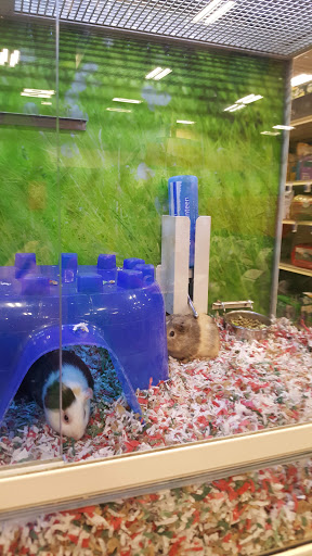 Pet Supply Store «PetSmart», reviews and photos, 1986 Mt Zion Rd, Morrow, GA 30260, USA