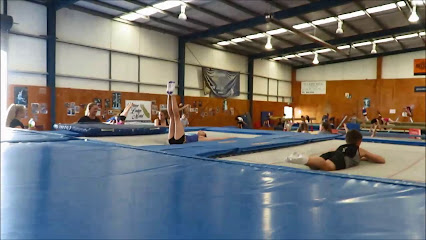 Hamilton City Gymnastics Inc