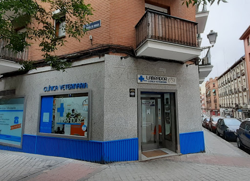 Labrador Clínica Veterinaria en Madrid