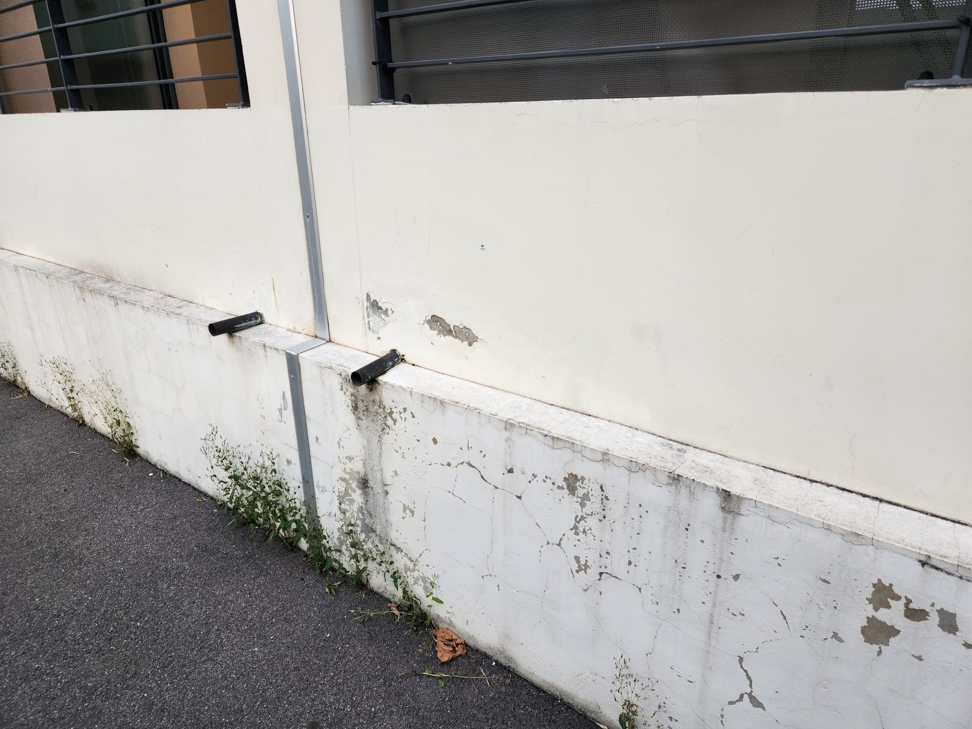 Photo n° 2 de l'avis de E.N fait le 31/12/2022 à 21:24