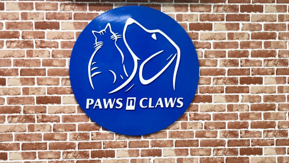 Paws N Claws Pets Clinic Islamabad