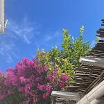 Photo n°2 de l'avis de zainab.l fait le 27/07/2023 à 07:36 sur le  Hotel Villa San Felice à Capri