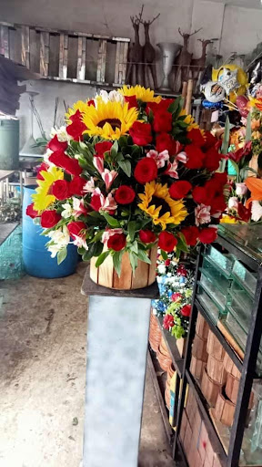 Florería Ary – Yecapixtla