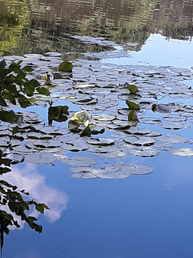 Golf Course «Van Cortlandt Park Golf Course», reviews and photos, 115 Van Cortlandt Park S, Bronx, NY 10471, USA