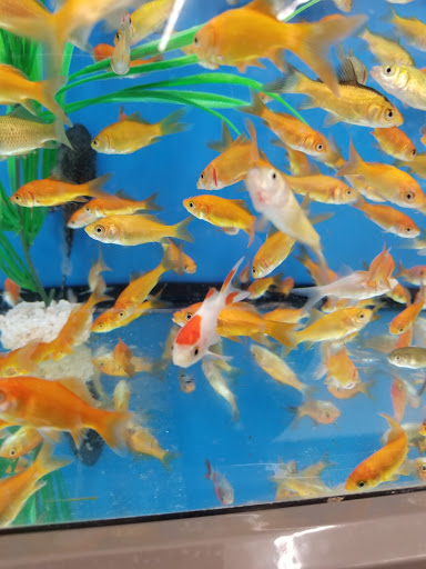 Pet Supply Store «Pet Supplies Plus», reviews and photos, 500 S St W, Raynham, MA 02767, USA