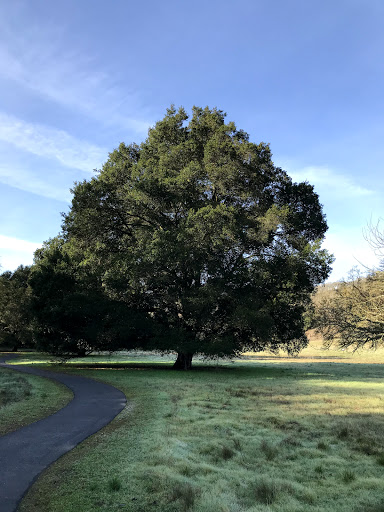 Nature Preserve «Rancho Cañada del Oro Open Space Preserve», reviews and photos, 4289 Casa Loma Rd, Morgan Hill, CA 95037, USA