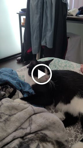 Pet Supply Store «PetSmart», reviews and photos, 4550 W Lake Mary Blvd, Lake Mary, FL 32746, USA