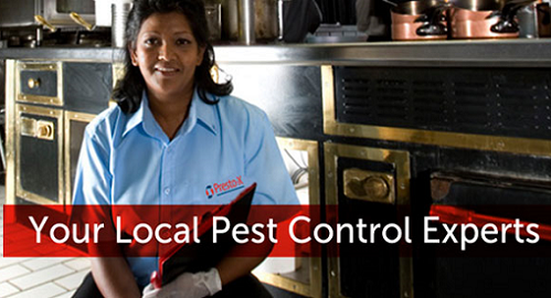 Presto-X Pest Control image 8