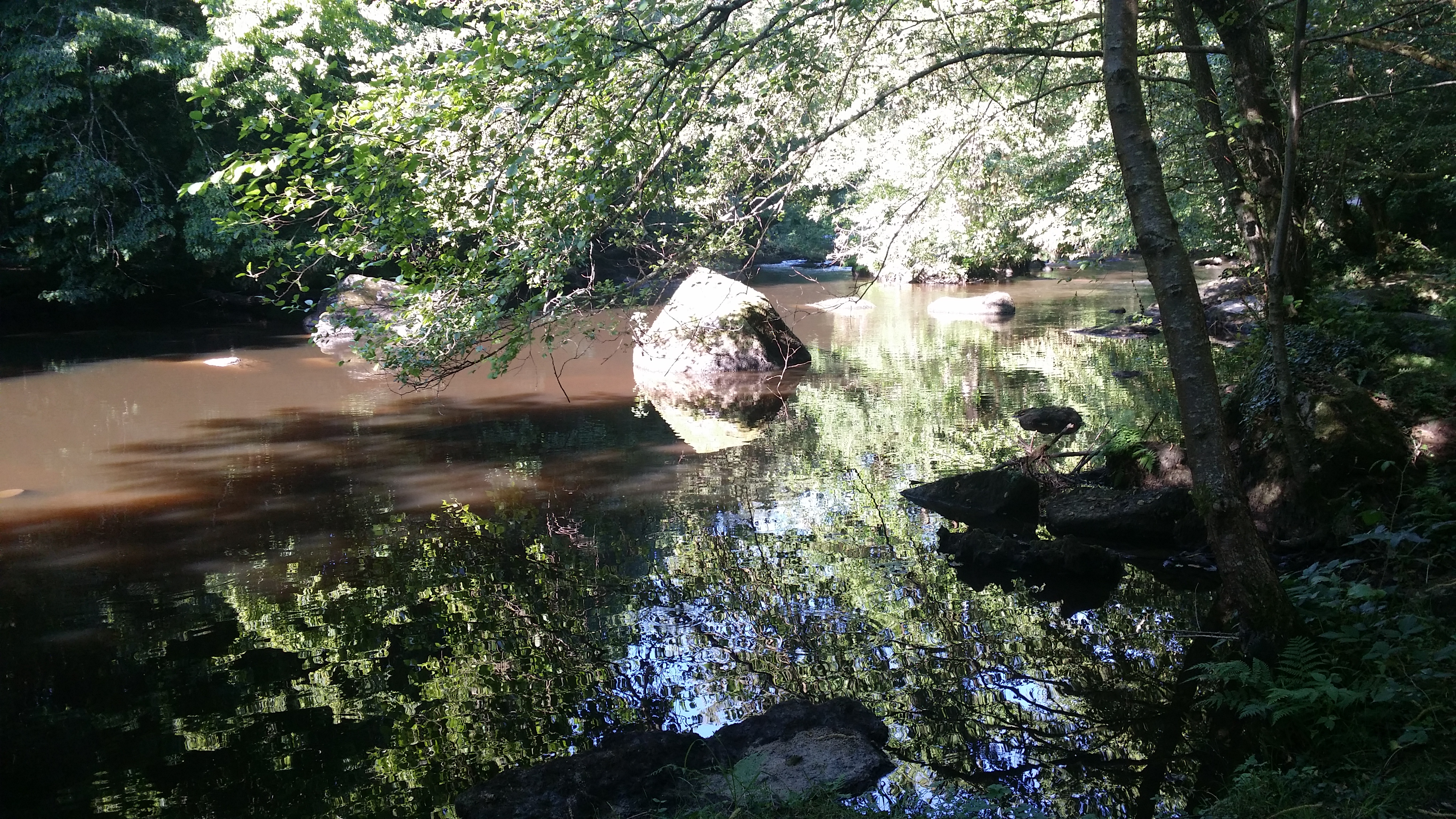 Photo n° 2 de l'avis de jerome.a fait le 19/07/2016 à 11:59