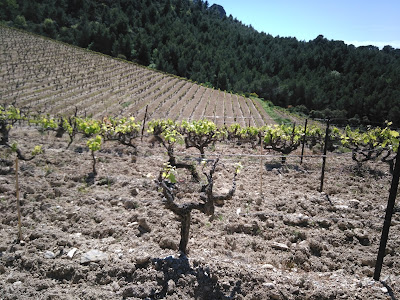 Clos Derrière Vieille à Gigondas