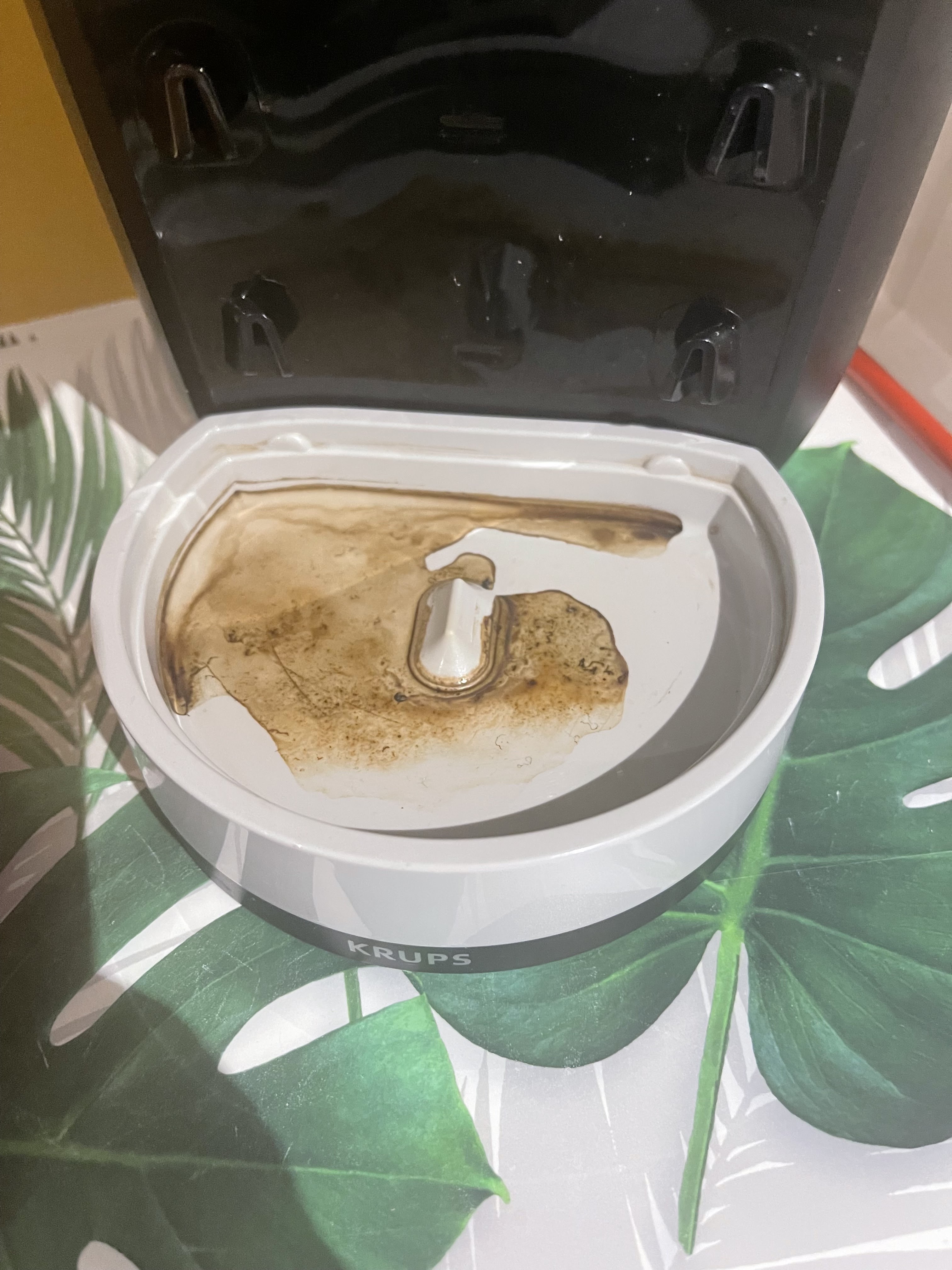 Photo n° 5 de l'avis de S66. fait le 31/01/2024 à 19:36