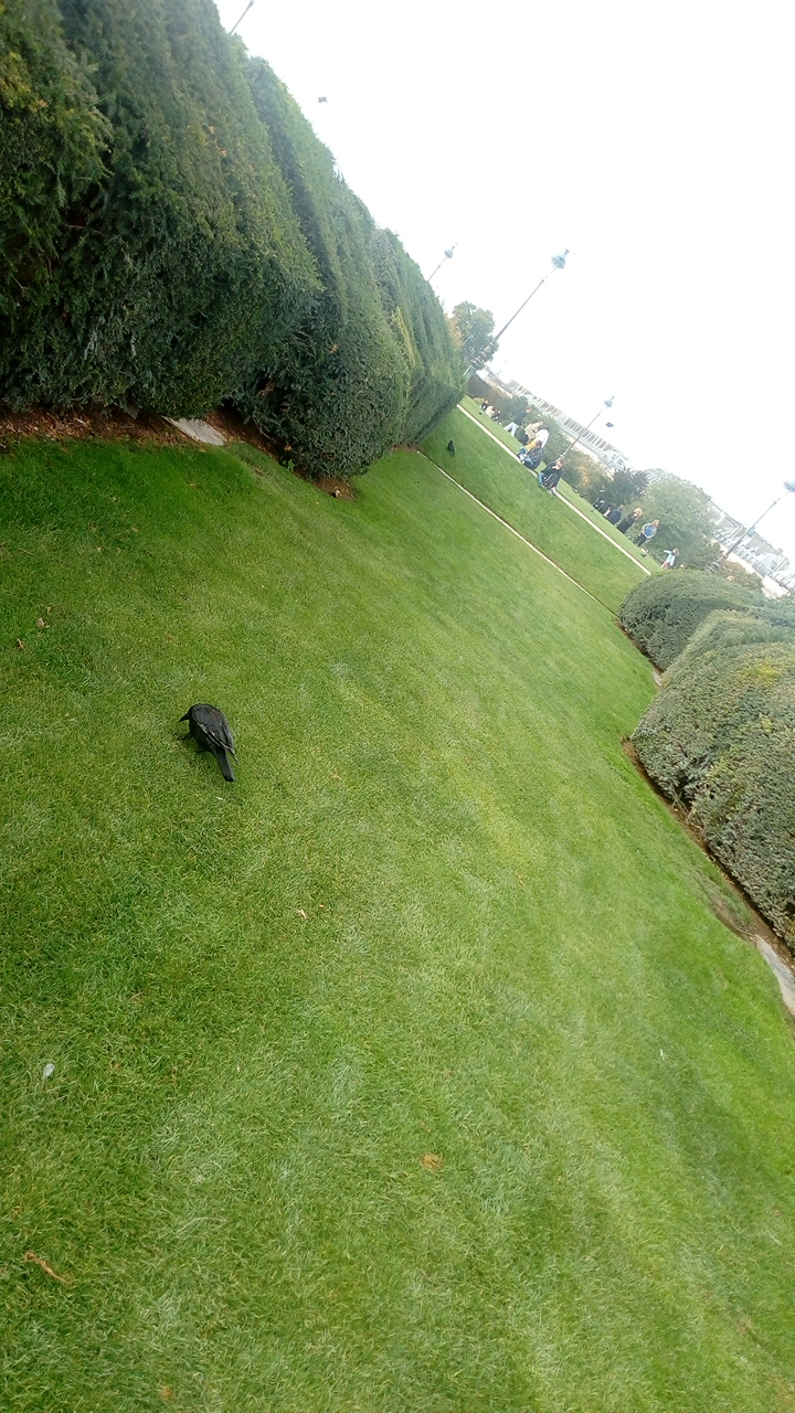 Photo n° 11 de l'avis de Delbart.e fait le 06/10/2019 à 13:25