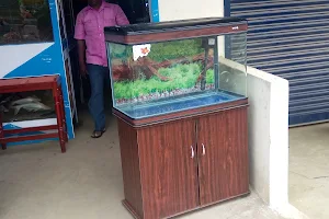 Rainbow Aquarium image