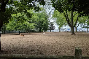 Coronation Park Dog Park image