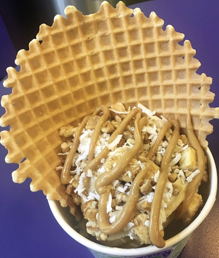 Frozen Yogurt Shop «Yogurt Mountain», reviews and photos, 1801 W Tennessee St #2, Tallahassee, FL 32304, USA