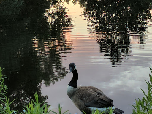 Park «Francis William Bird Park», reviews and photos, 251 Washington St, East Walpole, MA 02032, USA
