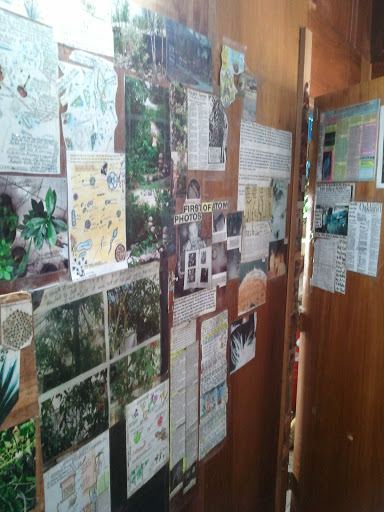 Raw Food Restaurant «Treehouse For Earths Children Holistic Center», reviews and photos, 22906 Mooney St, Farmington, MI 48336, USA