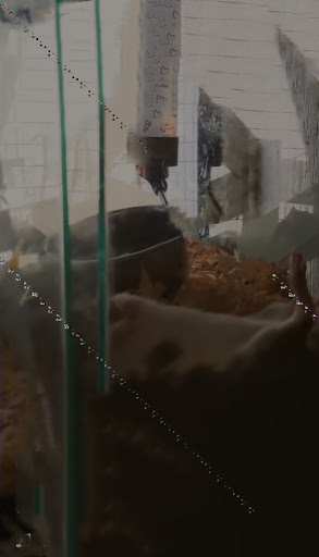 Pet Store «Animal House», reviews and photos, 646 SW 4th St, Corvallis, OR 97333, USA