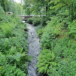 Photo n°7 de l'avis de Carsten.e fait le 08/08/2021 à 13:58 sur le  Zur Wassermühle Restaurant à Munster
