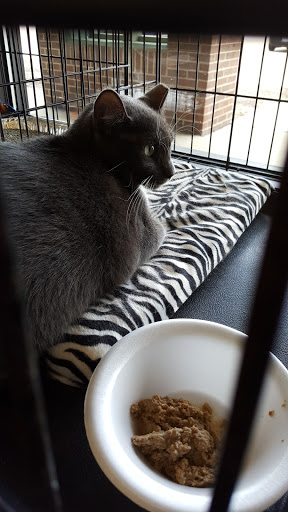 Pet Supply Store «Pet Supplies Plus», reviews and photos, 9 Waukegan Rd, Deerfield, IL 60015, USA