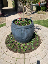 Green Systems Landscape - Photo 5 - Car repair in , Gilbert