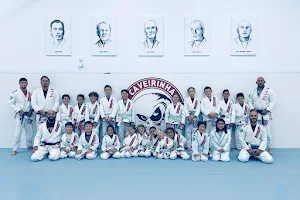 (CJJF) Caveirinha Jiu-Jitsu Family Academy - Melissa image