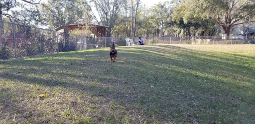 Park «Lutz Dog Park», reviews and photos, 122 1st Ave SW, Lutz, FL 33548, USA