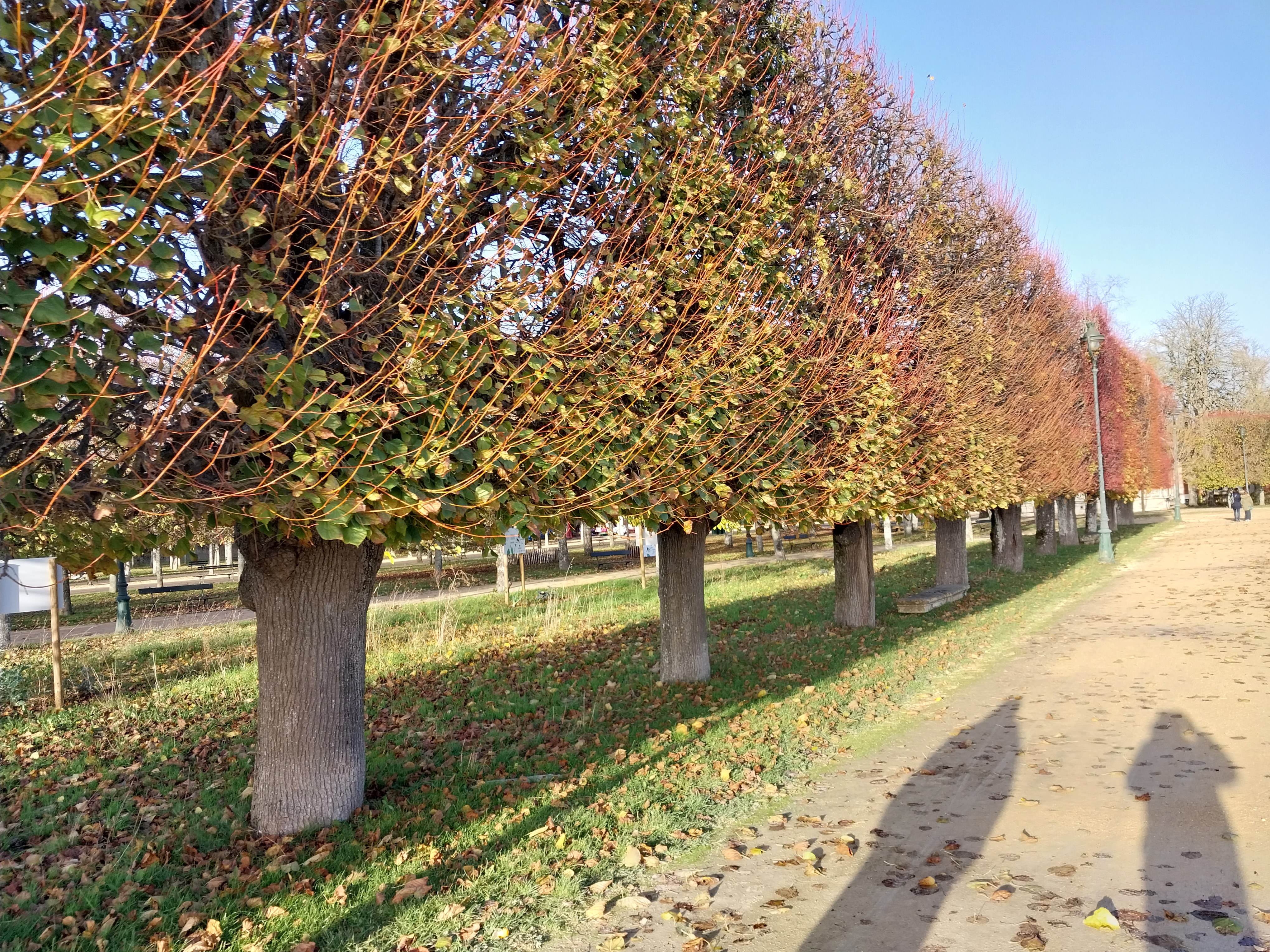 Photo n° 2 de l'avis de Luc.r fait le 23/11/2022 à 19:07