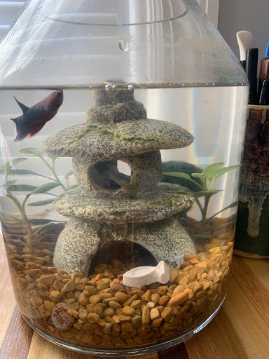 Pet Supply Store «Petco Animal Supplies», reviews and photos, 1 US-46, Totowa, NJ 07512, USA