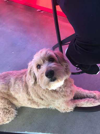 Winery «Cherry Road Winery», reviews and photos, 1575 Bison Ave NW, Massillon, OH 44647, USA