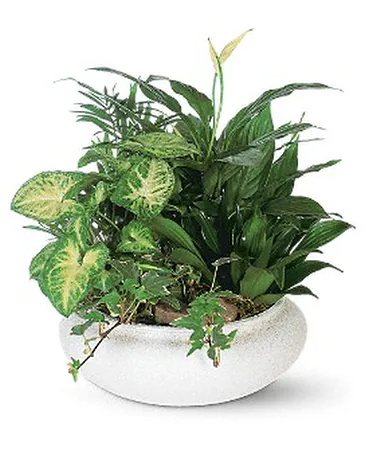 Florist «North Raleigh Florist», reviews and photos, 7457 Six Forks Rd, Raleigh, NC 27615, USA