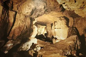 Cave of Altamira image