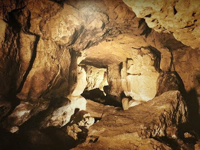 Cuevas de Altamira