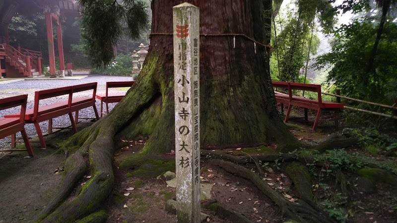 小山寺の大杉