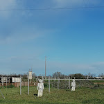 Photo n°5 de l'avis de matteo.a fait le 24/03/2024 à 21:24 sur le  Agriturismo Corte Barco Ristorante à Corte Barco