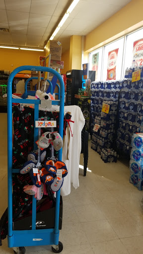 Dollar Store «FAMILY DOLLAR», reviews and photos, 717 E Main St, Fennville, MI 49408, USA