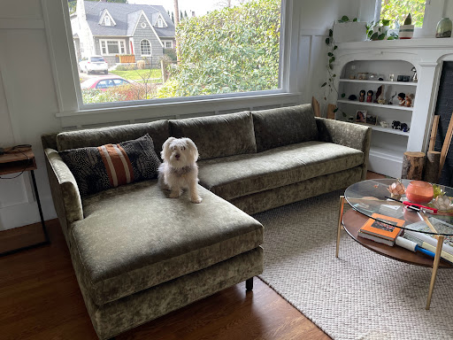 Sofa Store «Perch Furniture», reviews and photos, 923 NW 10th Ave, Portland, OR 97209, USA